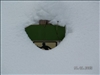SWZ_Winter1 2004-05 (12)